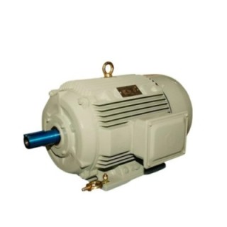 Crompton ND355LX 270 HP Crusher Duty Motor Image-1