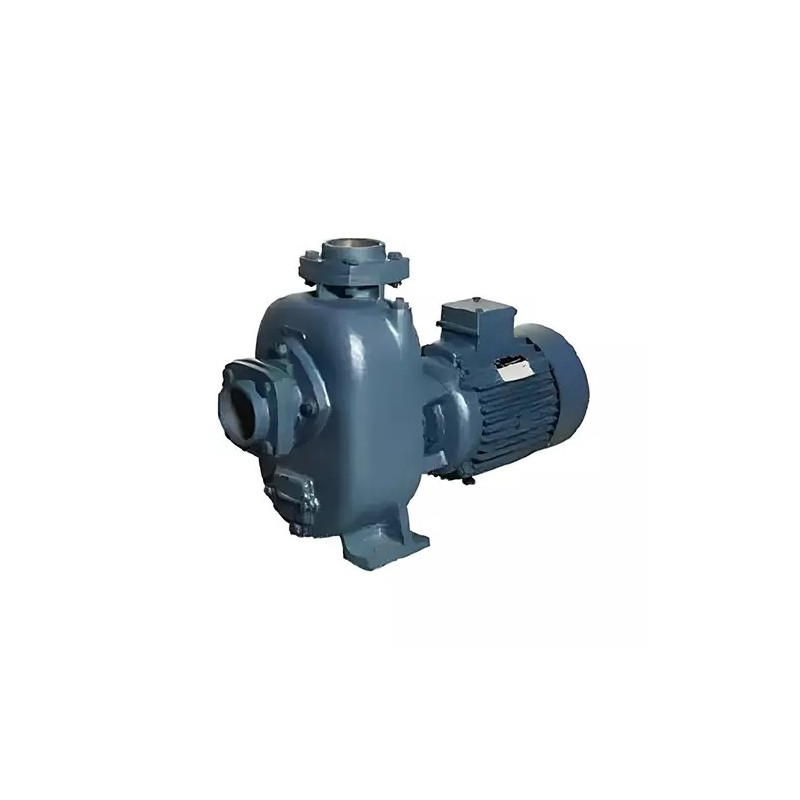 Crompton 3 HP Dewatering Monoblock Pump, DWMM32-18GP