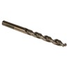 DeWALT High Speed Steel Drill Bit 10 mm Drill Point Diameter, 133 mm Overall Length DT5056-QZ