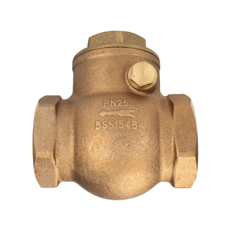 RS PRO Bronze Threaded R Single Check Valve 1 to 1/2 in, 20 bar 510-3744
