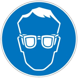 Brady Polyethylene Terephthalate Mandatory Sign Eye Protection PIC 250-DIA 200-B7541 (BRANDED)