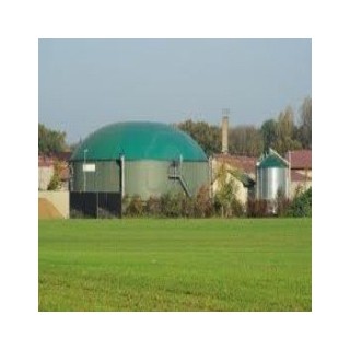 biogas-plants-8973