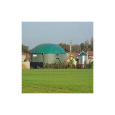 biogas-plants-8973
