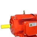  Crompton ND160M 25 HP Fire Fighting Induction Motor Image-4