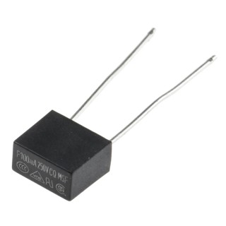 RS PRO Non-Resettable Fuse Radial 100mA 250V Fast Acting Thermoplastic Body 767-5074