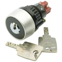 EAO IP65 Keylock Switch 1 NO/1 NC, 5A, 2-Way Flat Key, Plastic Housing, Round Bezel IP65 IP65