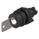 EAO IP65 Keylock Switch 1 NO/1 NC, 5A, 2-Way Flat Key, Plastic Housing, Round Bezel IP65 IP65