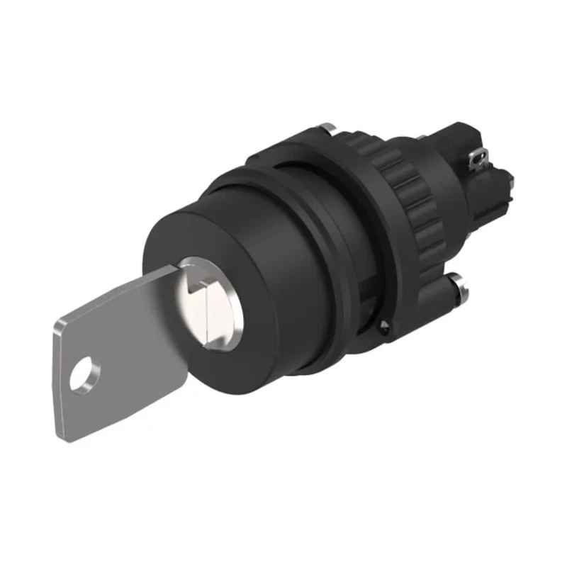 EAO IP65 Keylock Switch 1 NO/1 NC, 5A, 2-Way Flat Key, Plastic Housing, Round Bezel IP65 IP65