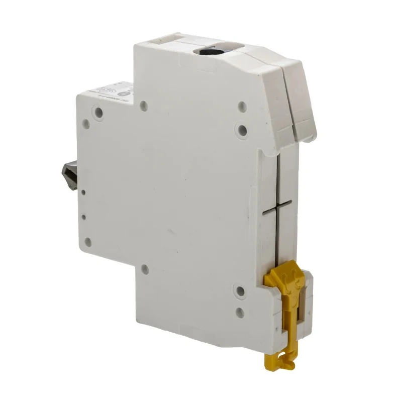 Schneider Electric 2-Pole DIN Rail Isolator Switch IP40 20A ISW Series A9S60220