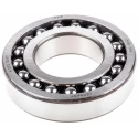 FAG Self-Aligning 2 Row Ball Bearing 55 mm Inside Diameter 120 mm Outside Diameter 29 mm Race Width Polyamide 1311-K-TVH-C3
