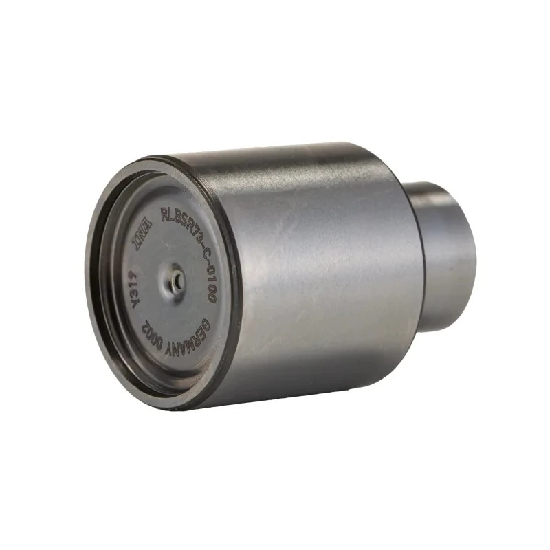 INA Roller Bearing 17.5 mm ID, 28 mm OD, 39.5 mm Race Width RLBSR73-C-0100