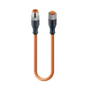 Lumberg Automation Sensor Actuator Cable Male 5 Way Straight to Female 5 Way Straight 300mm 12029 RST 5-RKT 5-259/0,3 M