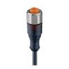 Lumberg Automation Female 4 Way Straight to Unterminated Sensor Actuator Cable, 230V, 4 Contacts 16058 RKTN 4-225/0,3 M
