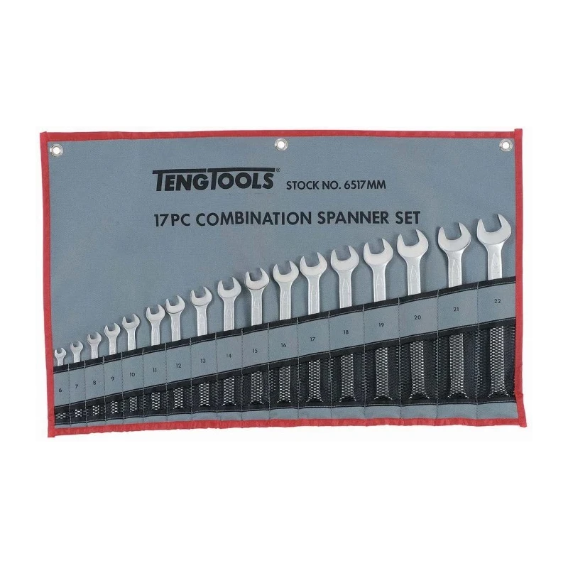 Teng Tools 17-Piece Chrome Vanadium Steel Ring Spanner Set 6 To 22 mm 6517MM