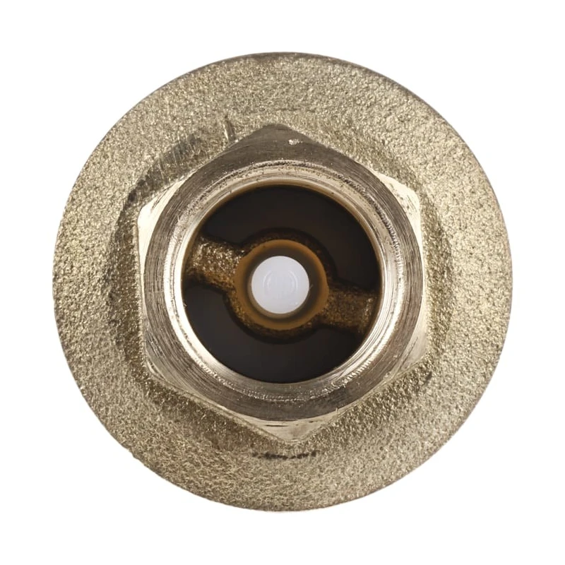 RS PRO Brass Threaded Single Check Valve 3/8 in, 12 bar 486-170