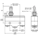ZF Roller Plunger Micro Switch, Screw Terminal, 15A, 250 V ac, SPDT GPTCRH01
