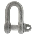 RS PRO Zinc Plated Steel D-Shackle Screw Pin, Safe Working Load 1t, Shackle Diameter 0.5in, Jaw Width 0.875in, Pin 674-049