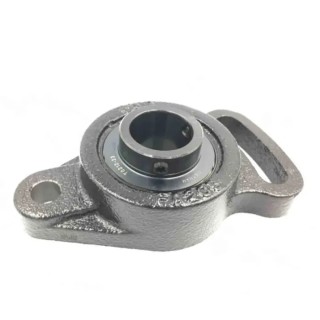 INA Bearing Unit with Cast Iron Housing 30 mm Inside Diameter UCFA206-J7