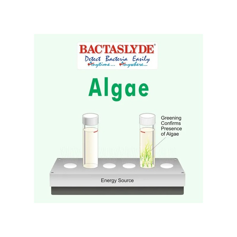 Aquasol Algae Test Refill Pack 5 Quantatative Test of Algae Media Refill Pack Only BS125R