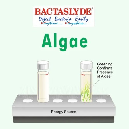 Aquasol Algae Test Refill Pack 5 Quantatative Test of Algae Media Refill Pack Only BS125R