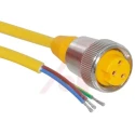 Turck Female 3 Way Straight to Unterminated Sensor Actuator Cable 2 m 600V IP67 RKM 30-2M