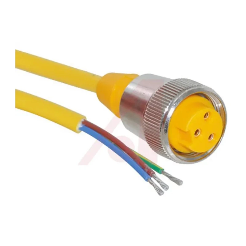 Turck Female 3 Way Straight to Unterminated Sensor Actuator Cable 2 m 600V IP67 RKM 30-2M