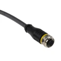 Turck Female 5 Way M12 Straight to Unterminated Sensor Actuator Cable 2 m RKS4.5T-2/TXL