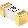 Bourns Non-Resettable Fuse 3A 125V AC Ceramic Body High Inrush High Breaking Capacity SF-2410HI300T-2