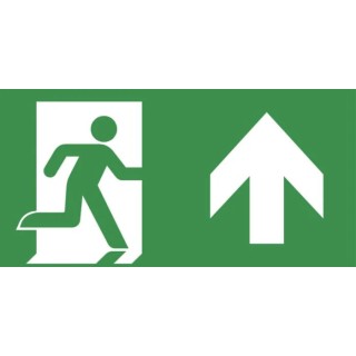 EMERGI-LITE Ceiling Emergency Exit Legend Cast Aluminium Enclosure Ceiling Mount 400mm 7TCA091350R4217 RSEN5120