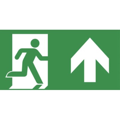 EMERGI-LITE Ceiling Emergency Exit Legend Cast Aluminium Enclosure Ceiling Mount 400mm 7TCA091350R4217 RSEN5120