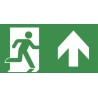 EMERGI-LITE Ceiling Emergency Exit Legend Cast Aluminium Enclosure Ceiling Mount 400mm 7TCA091350R4217 RSEN5120