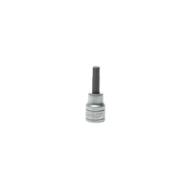 Teng Tools 3/8 in Drive 6 mm Bit Socket Chrome Plated Alloy Steel 49.5mm Overall Length M381506-C