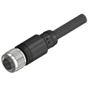 RS PRO 5 Way M12 to Unterminated Cable 10 m with Polyvinyl Chloride Jacket IP67 Rated 201-7100