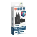 Ansmann Regulated AC/DC Adapter 65W Power 20V DC Output, 3A Current 2 Outputs EU Plug 1001-0096