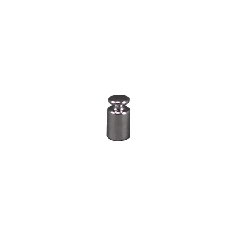 Adam 2 g Stainless Steel Calibration Weight Class M1 M1 2g
