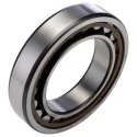 SKF Single Row Shielded Cylindrical Roller Bearing 55 mm ID 90 mm OD 18 mm Width, Non-Metallic Cage, 8500 rpm NU 1011 ECP