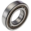 SKF Cylindrical Roller Bearing 45 mm ID 85 mm OD Shielded Single Row 9500 rpm NJ 209 ECP