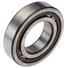 SKF Cylindrical Roller Bearing 45 mm ID 85 mm OD Shielded Single Row 9500 rpm NJ 209 ECP