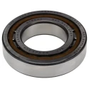 SKF Cylindrical Roller Bearing 45 mm ID 85 mm OD Shielded Single Row 9500 rpm NJ 209 ECP