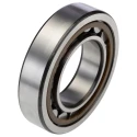 SKF Cylindrical Roller Bearing 45 mm ID 85 mm OD Shielded Single Row 9500 rpm NJ 209 ECP