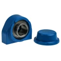 SKF Pillow Block Bearing Stainless Steel Housing 40 mm ID, 117 mm Length P2BTC 40M-CPSS-DFH
