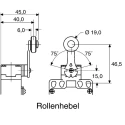 Honeywell GLE Series Steel Roller Limit Switch 2 NO/2 NC IP67 Die Cast Zinc Epoxy Coated Housing 240V 