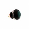 TE Connectivity PB7 Series Push Button Switch On-On Panel Mount 1 NC Contact IP68 PB7B2FM6M1CAL00