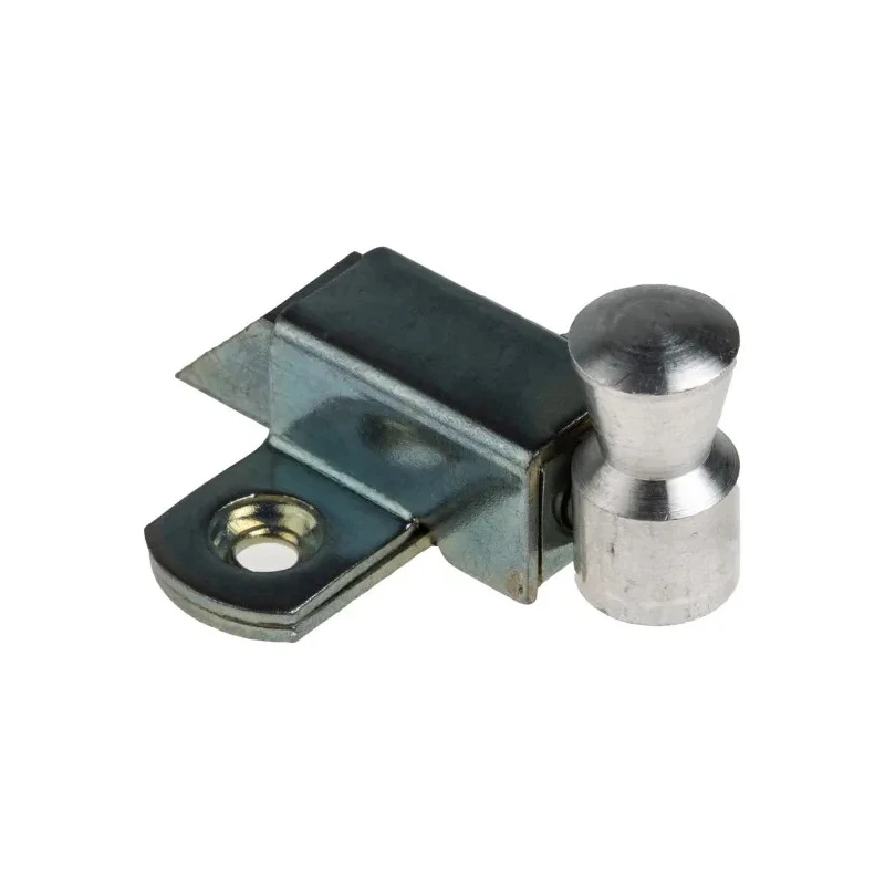 Pinet Steel Zinc Plated Door Bolt 36.5 mm Length 3.5 mm Mounting Hole Diameter 16-1-3430