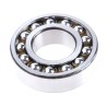 SKF Self-Aligning Double-Row Ball Bearing 25 mm ID, 52 mm OD, 15 mm Width, Non-Metallic Cage 1205 ETN9