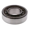 SKF 25 mm ID x 52 mm OD Fibreglass Reinforced Nylon Cage Parallel Bore Roller Bearing NU 205 ECP