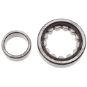 SKF 25 mm ID x 52 mm OD Fibreglass Reinforced Nylon Cage Parallel Bore Roller Bearing NU 205 ECP