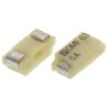 Schurter Non-Resettable Fast Acting Fuse 5A 63 V AC/DC Thermoplastic Body 3402.0017.11