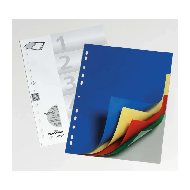 Durable Assorted A4 File Divider 6730-27, Assorted Colours, 1 Per Pack, Germany 6730-27