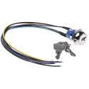 APEM Key Switch DPST, Latching, 4A Contact Current, 2 Positions, Flat Key, Zinc Alloy Housing JD9S126W